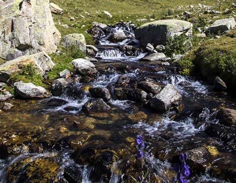 Thermal springs, Madriu